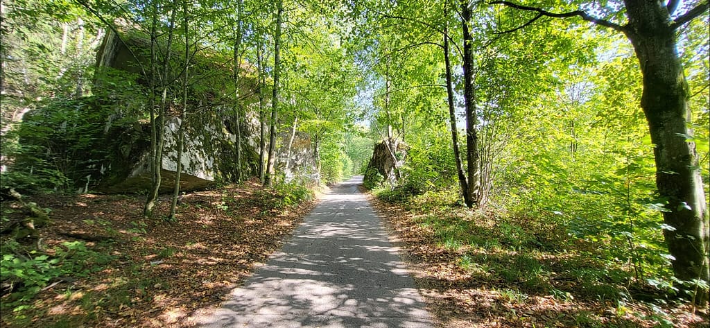 Leśna droga do Gierłoży podczas wycieczki poza szlakiem Mazurskiej Pętli Rowerowej