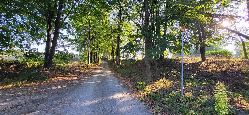 Na trasie Wejdyki – Ryn