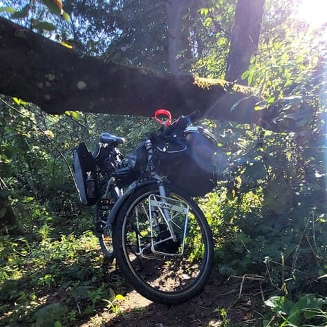 Mazurska Pętla Rowerowa 2023. Zarośnięta ścieżka i powalone drzewo na trasie wzdłuż Kanału Mazurskiego