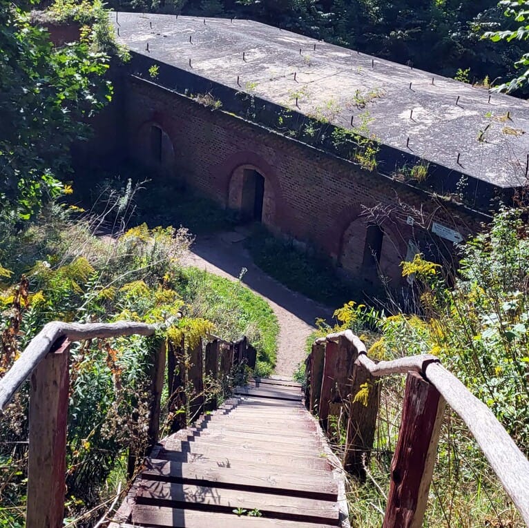 Mazurska Pętla Rowerowa: drewniane schody prowadzące do zarośniętego fortu Twierdzy Boyen.