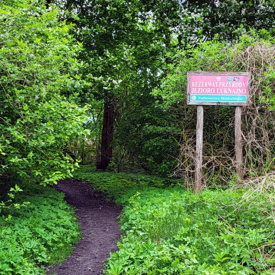 Mazurska Pętla Rowerowa: wejście do Rezerwatu Przyrody Jezioro Łuknajno, ukryte wśród zieleni lasu.