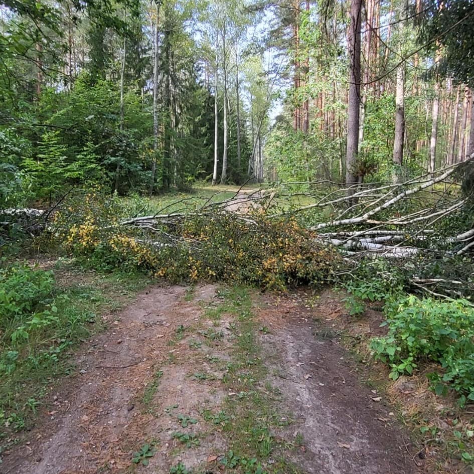 Powalone drzewa na trasie między Piszem a Rucianem-Nidą.