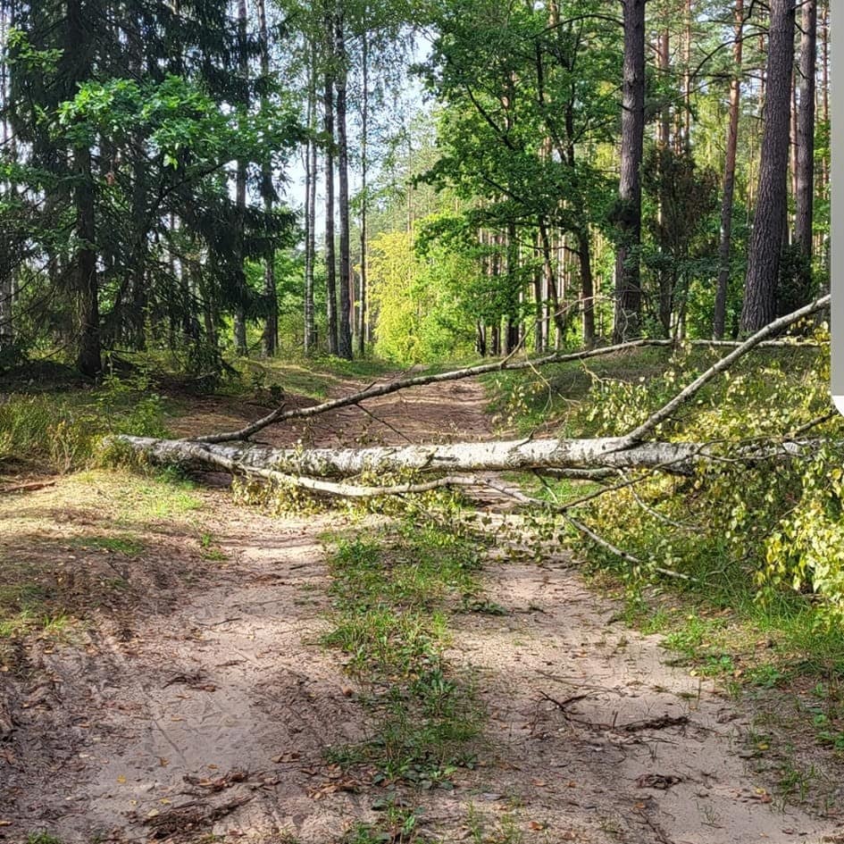 Powalone drzewa na trasie między Piszem a Rucianem-Nidą.