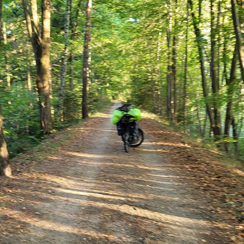 Mazurska Pętla Rowerowa 2023. Leśny odcinek trasy rowerowej między Ogonkami a Pozezdrzem na Mazurach
